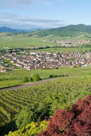 landscape of a small town next to the mountains and a vineyard