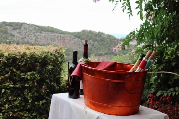 scenic wine tasting experience in spain