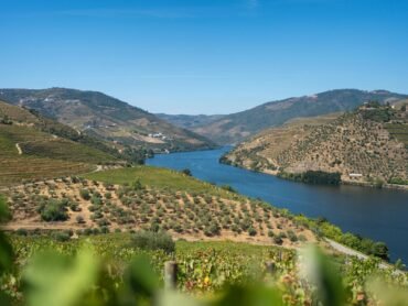 scenic douro valley vineyard landscape