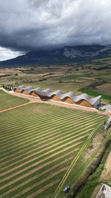 modern winery architecture in spanish countryside