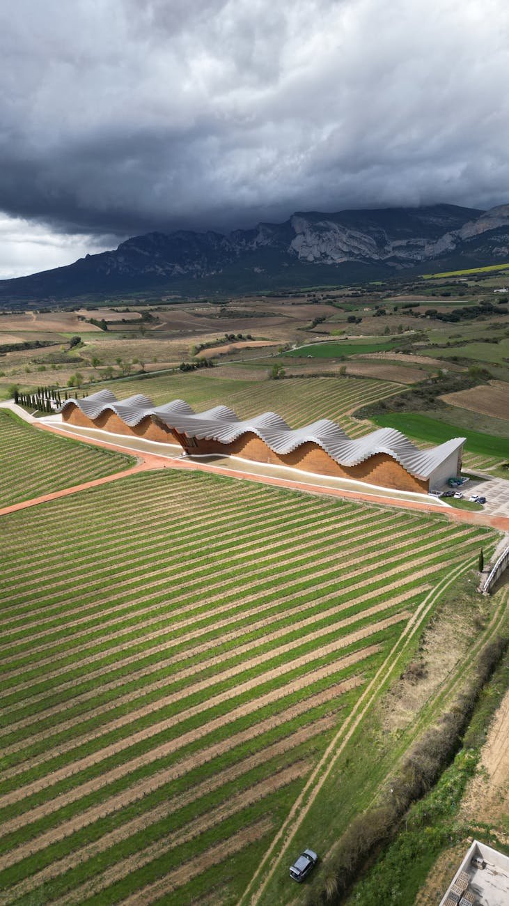 modern winery architecture in spanish countryside