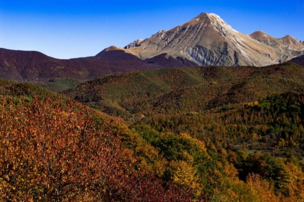 scenic mountain landscape in autumn