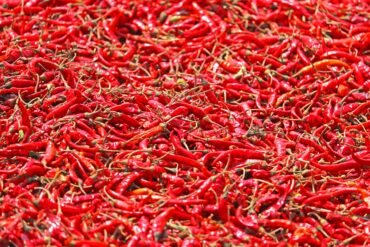 close up shot of red chilli peppers