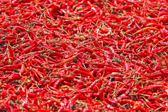 close up shot of red chilli peppers