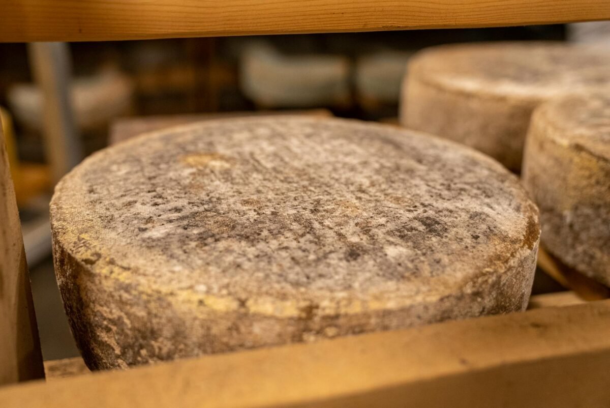 close up photo of aged cheese